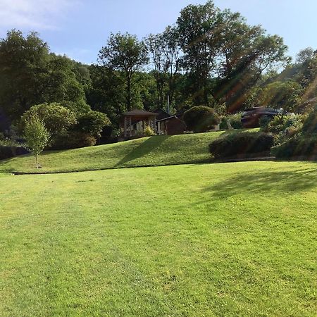 Ty Twt - Complete Holiday Home Llandysul Extérieur photo