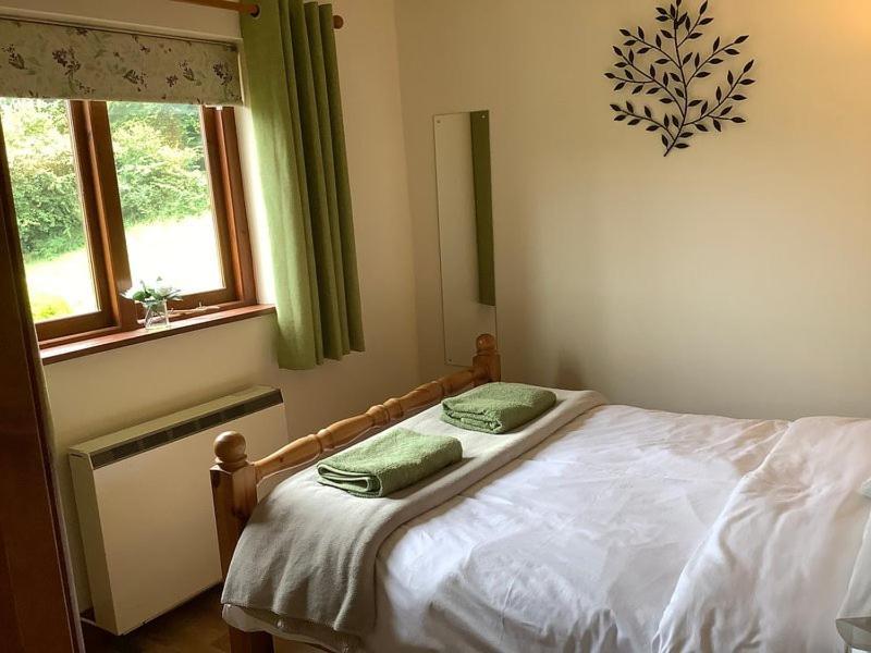Ty Twt - Complete Holiday Home Llandysul Extérieur photo